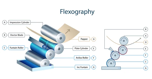 Mecanismo de impresión flexografía infografía — Vector de stock