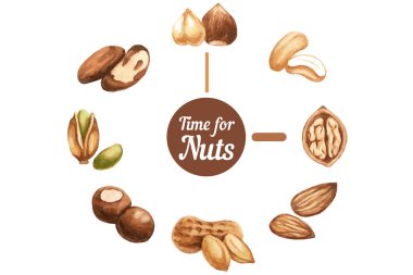 Set of nuts by watercolor clipart