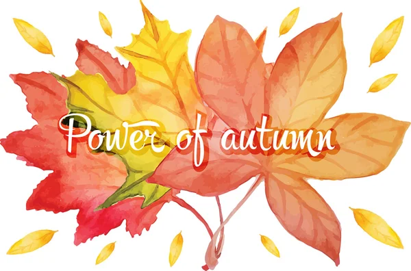 Gevallen herfstbladeren gezet door aquarel — Stockvector