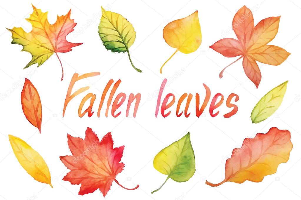 ᐈ Falling Leaf Drawing Stock Vectors Royalty Free Fallen Leaves Illustrations Download On Depositphotos