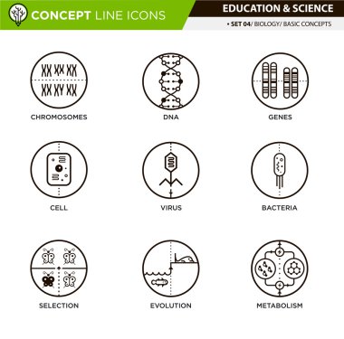 4 Biyoloji kavramı satır Icons Set