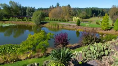 Yeşil bitkilerle çevrili bir su kütlesi.