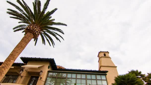 Een palm boom voor een gebouw — Stockvideo