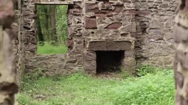 Bir kaya duvarına yakın çekim