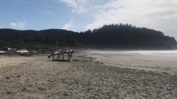 Un grupo de personas en una playa cerca de un cuerpo de agua — Vídeos de Stock