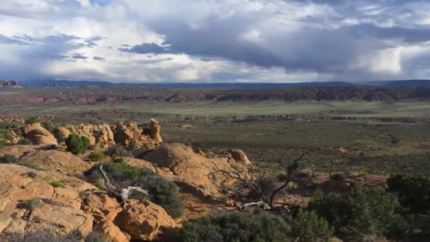 Um close-up de um campo deserto com uma montanha no fundo — Vídeo de Stock