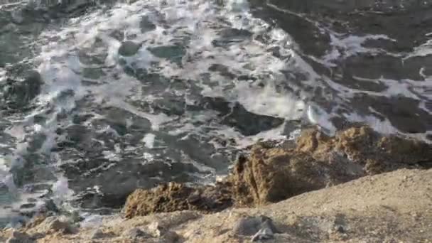 Un primer plano de una roca cerca del océano — Vídeo de stock
