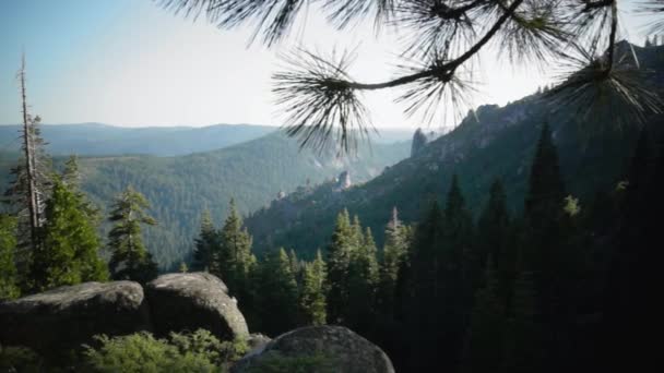 Un árbol con una montaña en el fondo — Vídeos de Stock