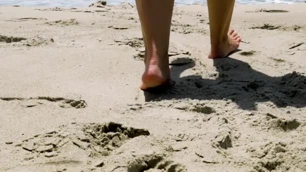 Una spiaggia di sabbia — Video Stock