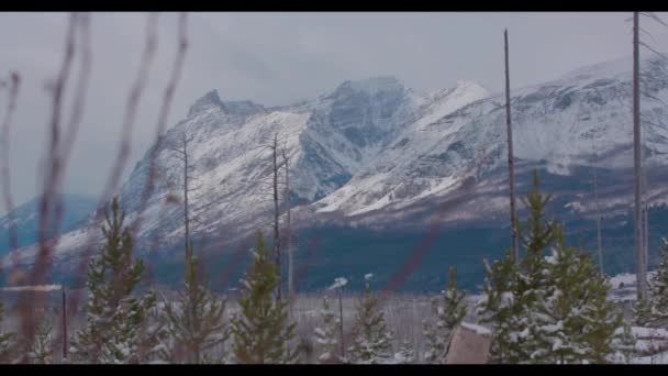 Vista di una montagna innevata — Video Stock