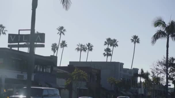 Un grupo de palmeras con un edificio al fondo — Vídeos de Stock