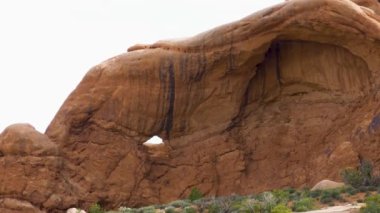 Bir kayaya yakın çekim
