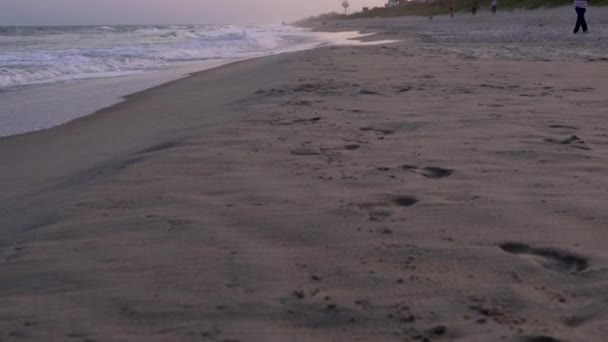En person som står på en sandstrand — Stockvideo