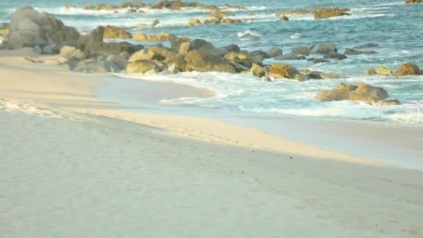 Una spiaggia sabbiosa vicino all'oceano — Video Stock