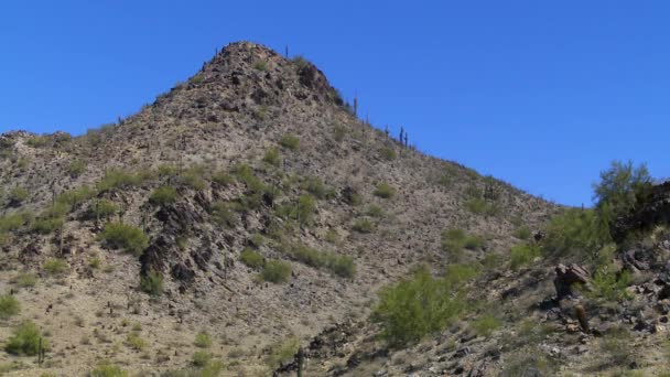 Una montaña rocosa con árboles en el fondo — Vídeo de stock