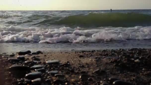 Vatten bredvid havet — Stockvideo