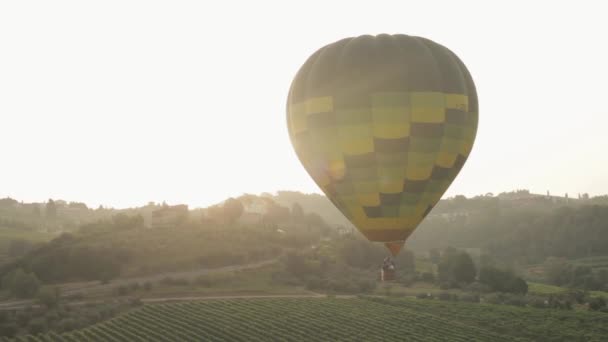 En ballong i skyn — Stockvideo