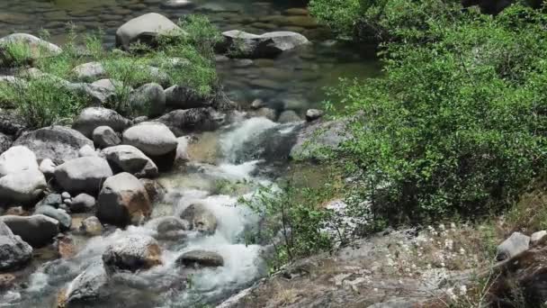 Un río rocoso con árboles al fondo — Vídeos de Stock