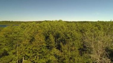 bir balıkçı tekneleri 