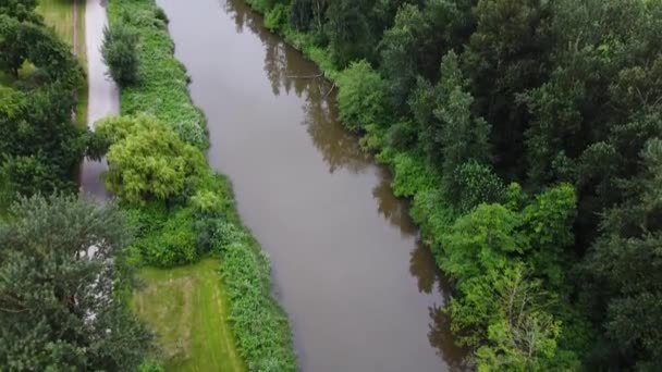 Ένα στενό ποτάμι σε ένα δάσος — Αρχείο Βίντεο
