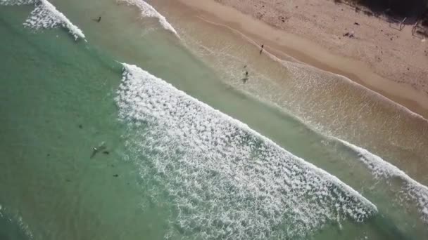 Woda obok oceanu — Wideo stockowe