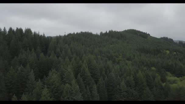 Μια πινακίδα μπροστά από ένα δάσος — Αρχείο Βίντεο