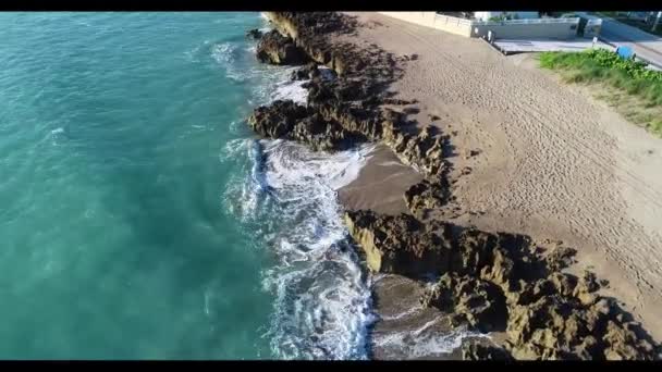Вода рядом с океаном — стоковое видео