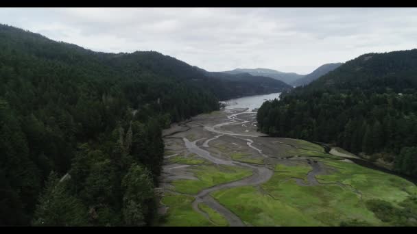 Une vue sur une montagne — Video