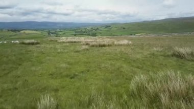 Yeşillik bir arazide bir işaret