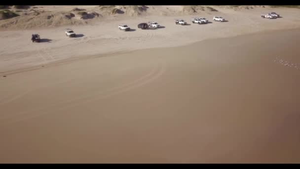 Un gruppo di persone su una spiaggia — Video Stock