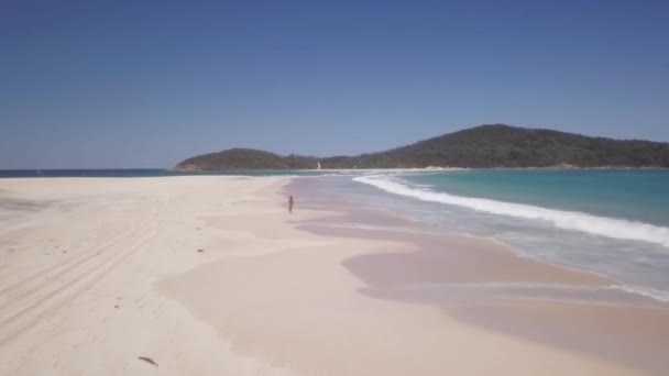 Een strand met een berg op de achtergrond — Stockvideo