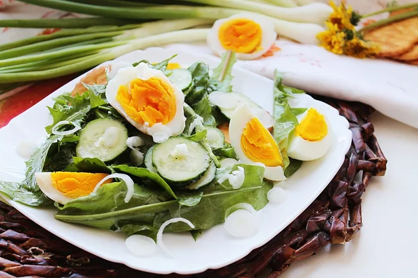 Zomerse salade — Stockfoto