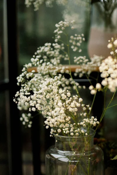 Gyps Fleurs Dans Vase Image Chaude — Photo