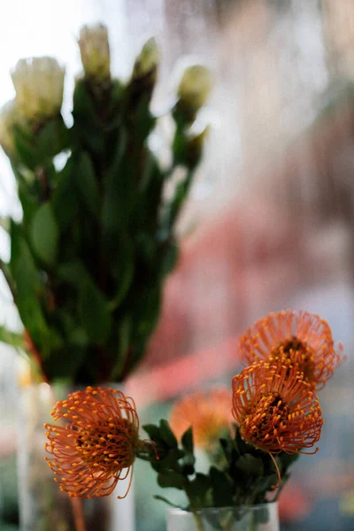 Fleurs Exotiques Orange Debout Dans Vase — Photo