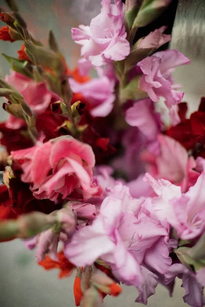 Букет Рожевих Квітів Ірису — стокове фото