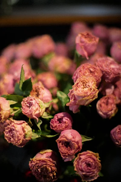 Полная Картина Розовых Роз — стоковое фото