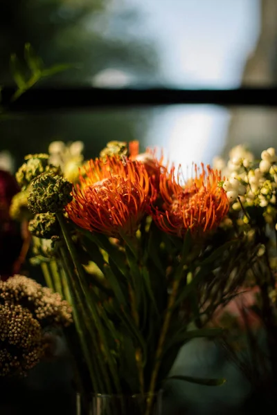 Noix Dans Vase Fleurs Orange — Photo