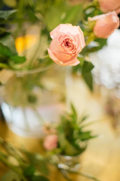 Rosa Pequena Rosa Vaso Com Outras Rosas — Fotografia de Stock