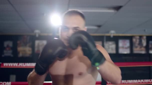Professionell ung boxare i ringen, öva tekniken för strejker, rack, försvar och uthållighet, våt på träningen, framför kameran. — Stockvideo