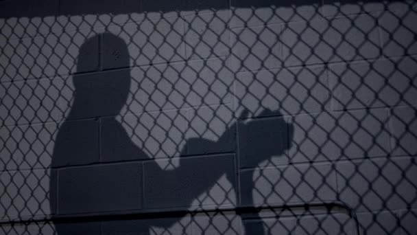 Boxer silhouette. Silhouette-Boxer beim Training im dunklen Studio. Boxhandschuhe an. — Stockvideo