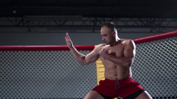 Lutador de MMA muscular está praticando na gaiola de octógono. Boxe das sombras. — Vídeo de Stock