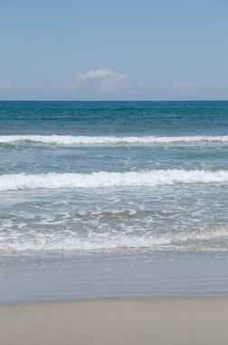 Su Teksas sahilinin bu bölümü boyunca koyu mavi renktedir. Kıyı kuşları, dalgaların kumla buluştuğu yerlerde yiyecek aramaya bayılırlar..
