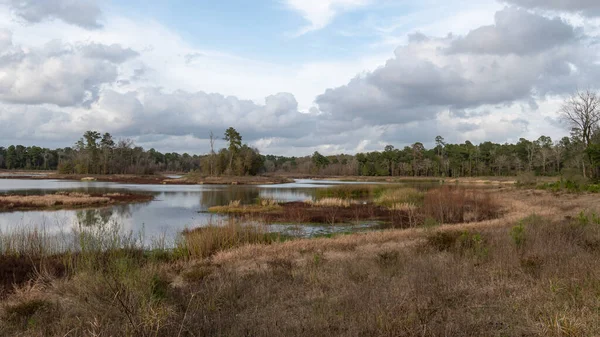 Panoramic Shot Pond Early Morning Winter — Stock Photo, Image