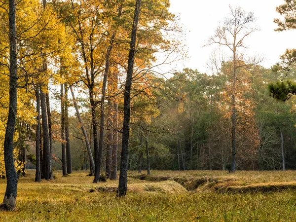 Creek Running Landscape Late Autumn — Stock Photo, Image