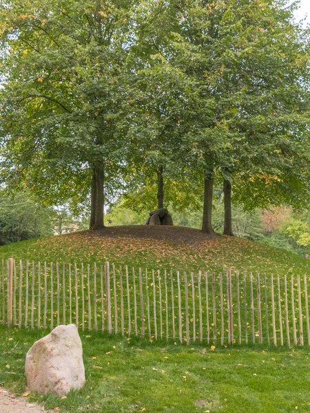 Stromy Kopci Plotu Frederiksbergských Zahradách Kodani — Stock fotografie