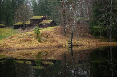 Lillehammer, Norveç. 8 Kasım 2025. Sonbaharda Maihaugen açık hava müzesinde çim çatılı eski bir çiftlik evi..