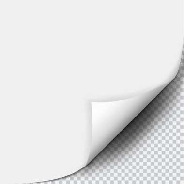 Sayfa curl boş kağıt üzerine gölge ile