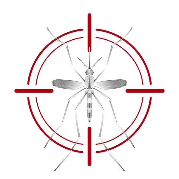 Láz mosquito fajok aedes aegyti piros cél elszigetelt fehér background — Stock Vector