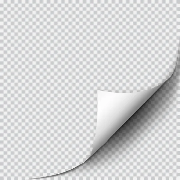 Seitenrolle mit Schatten auf leerem Blatt Papier — Stockvektor