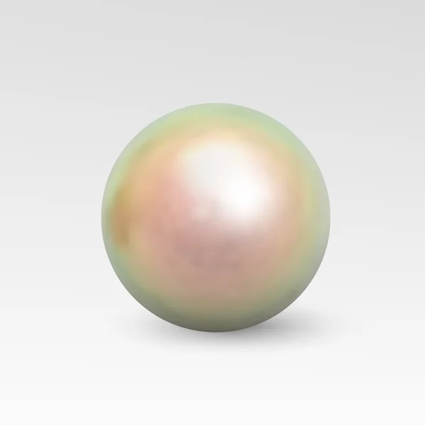 Perle realistisch isoliert auf weißem Hintergrund — Stockvektor